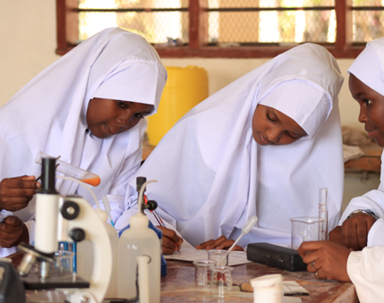 EDUCATION DEVELOPMENT